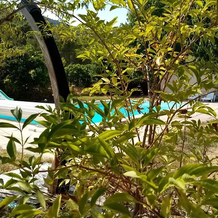 Eco-responsable Avec Piscine 6x12m Lire L'annonce Votre Svp Homestay *