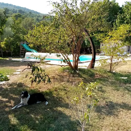 Eco-responsable Avec Piscine 6x12m Lire L'annonce Votre Svp